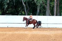 4HArenaWest-0493