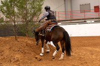 Mustang-1280
