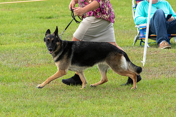 IABCAShow-3341