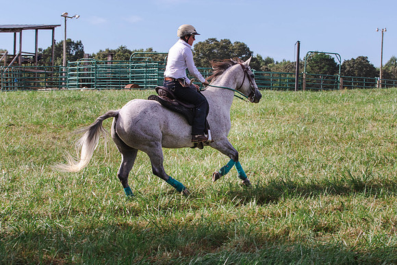 Julie Cook-9825