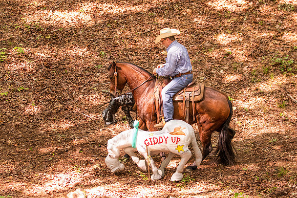 HodgesRace-5278