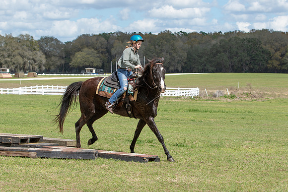 Bre-7880