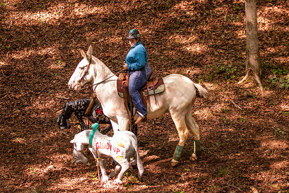 HodgesRace-5245