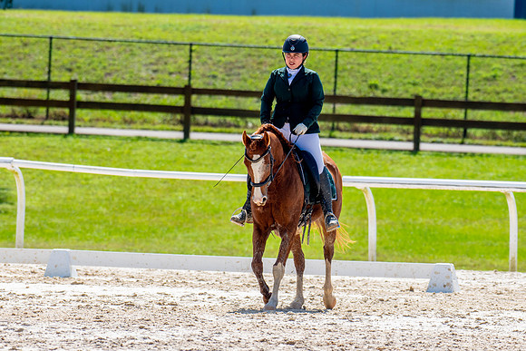 HorseShow-0656