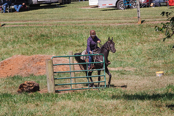 Terri-1730