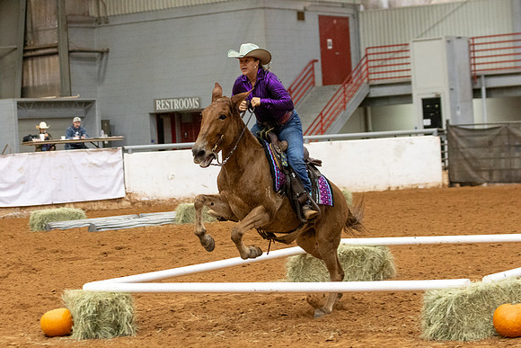 Mule&FuturityR2-232