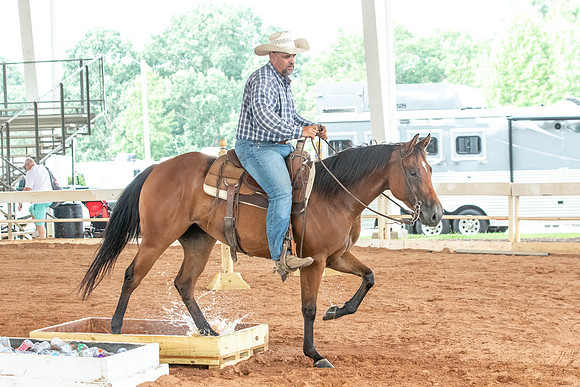 Gainesville-5201