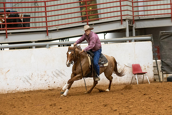 Mule&FuturityR2-390