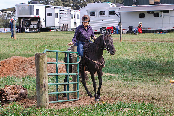 Terri Glonek-0401