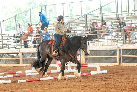 Gainesville-4731