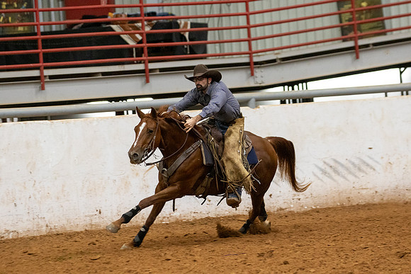 Mule&FuturityR2-405
