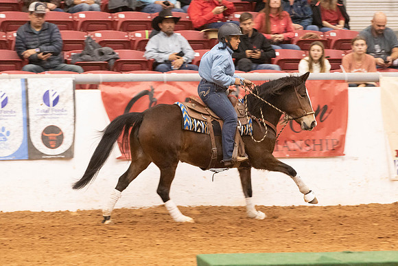Mustang-4997