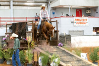 NoviceR1-1817
