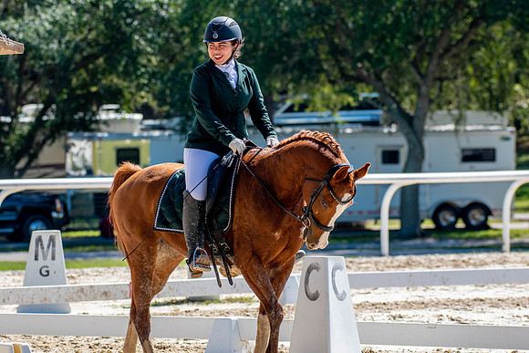 HorseShow-0652