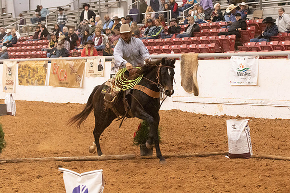 Futurity-2081