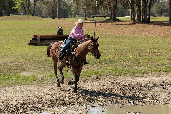 EXCAOcala-8050