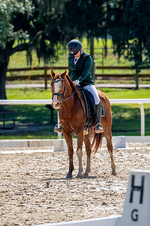 HorseShow-0690