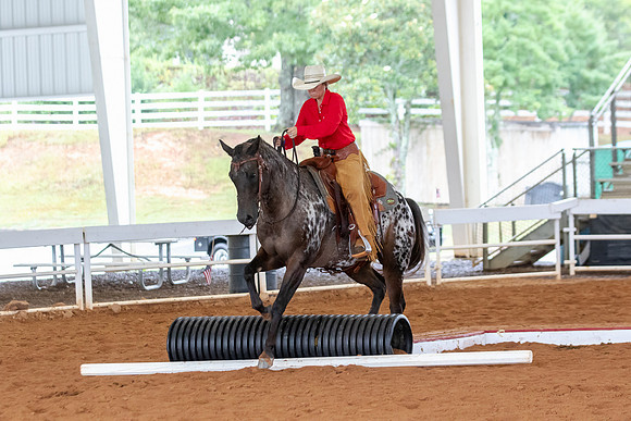 EXCARegionals-1027