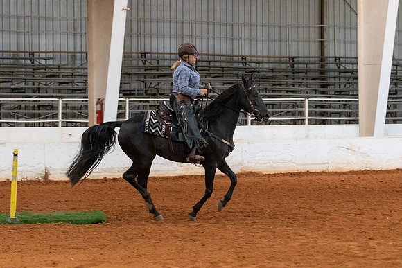 Terri-1173