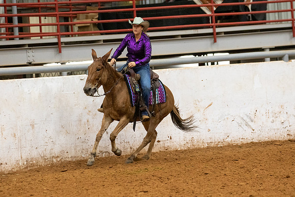 Mule&FuturityR2-221