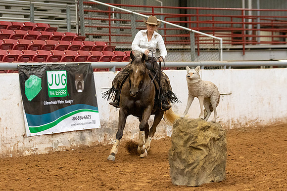 Mule&FuturityR2-320
