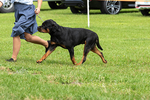 IABCAShow-3359