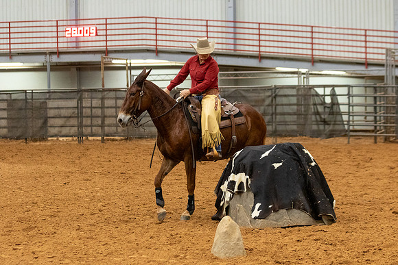 MuleFinals-186