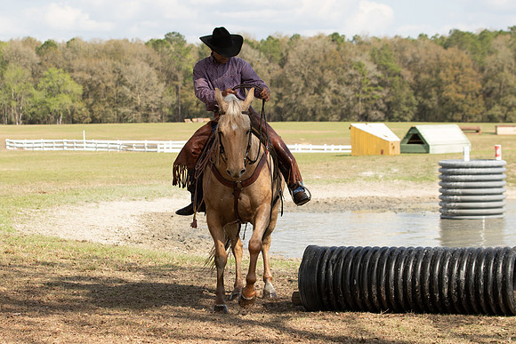 EXCAOcala-8731