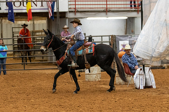 Mule&FuturityR2-69