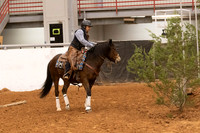 Mustang-1285