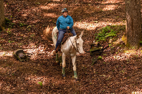 HodgesRace-5242