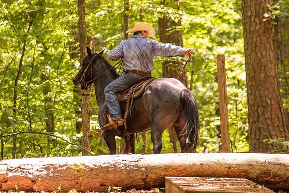 HodgesRace-5916