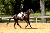 38. Pony Hunter Under Saddle, 14.2 & under