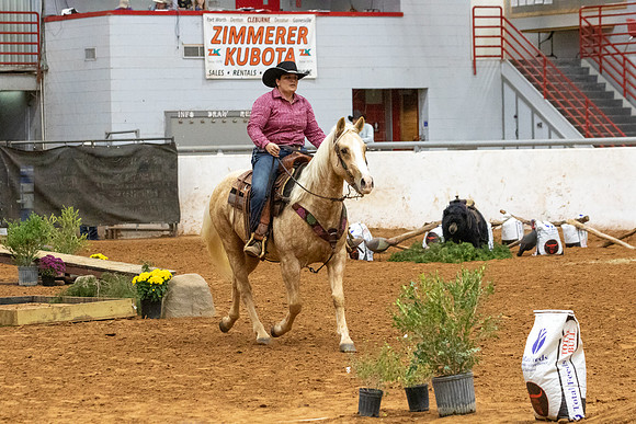NoviceR2-1009