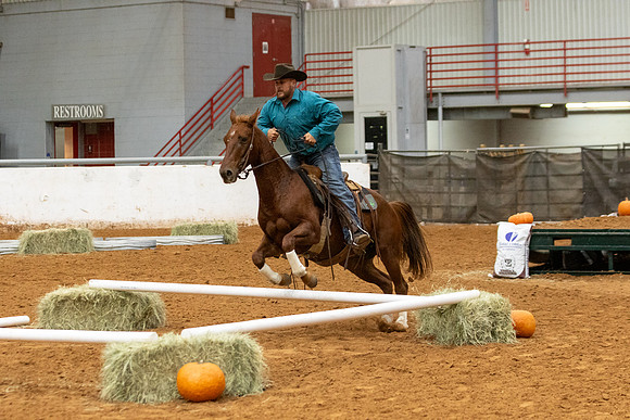 Mule&FuturityR2-370