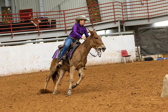 Mule&FuturityR2-241
