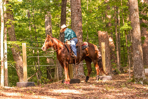 HodgesRace-7131