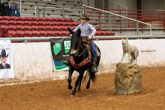 Mule&FuturityR2-54