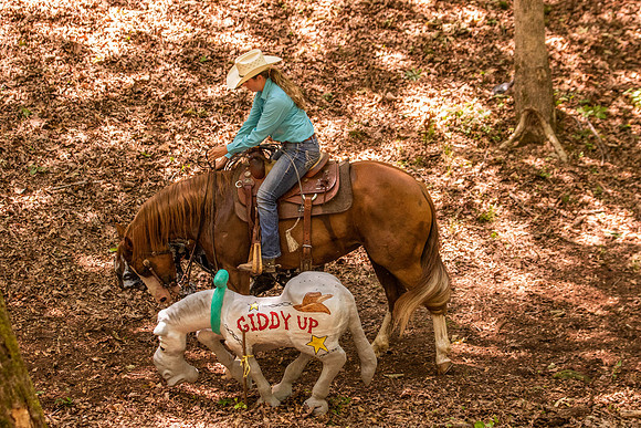 HodgesRace-6128