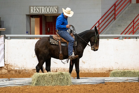 Mule&FuturityR2-78