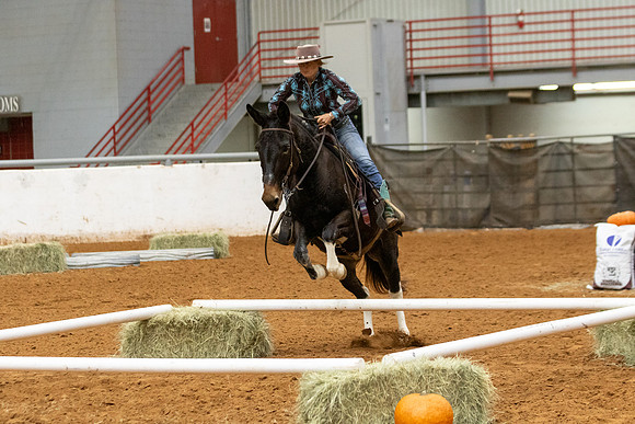Mule&FuturityR2-209