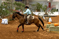 RideSmartR1-212