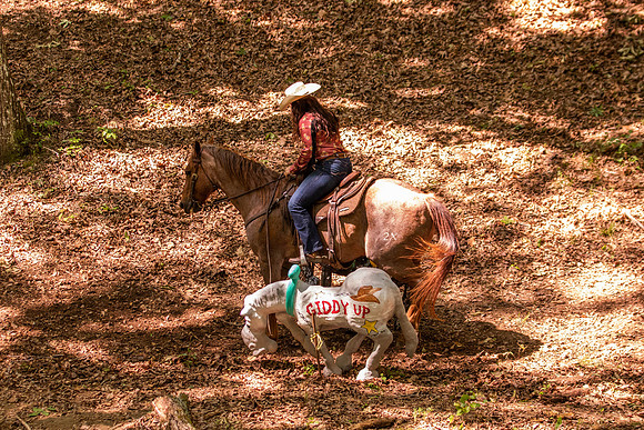 HodgesRace-5381