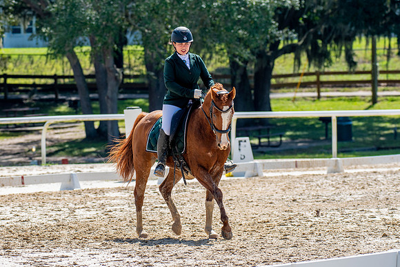 HorseShow-0666