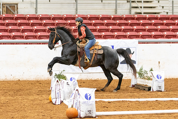 Int&FuturityR1-250