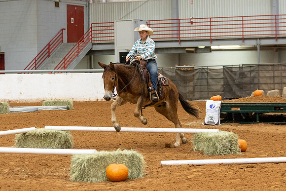 Mule&FuturityR2-13