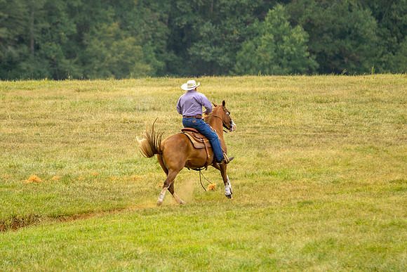 IMG_7729