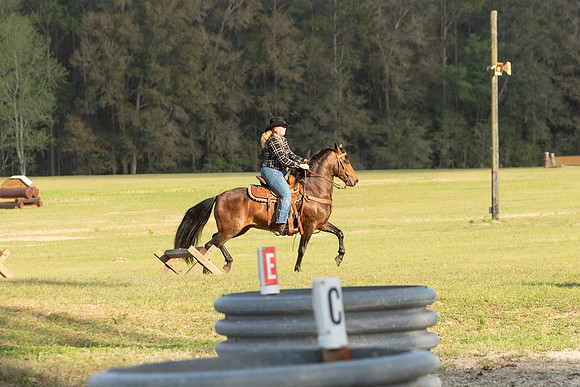 EXCAOcala-9303