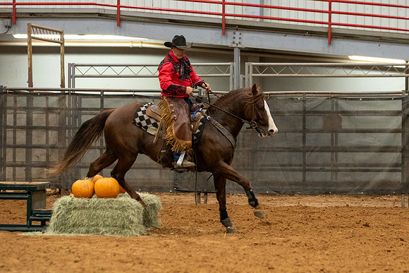 ProR2-131