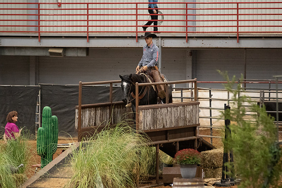 0G1A1244-272